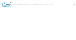Desktop Screenshot of chatrone.com